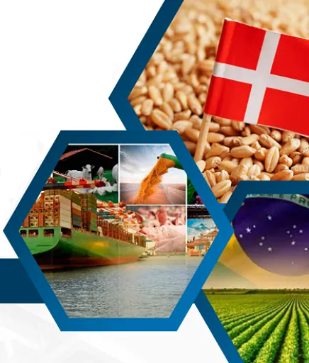 Imagem ilustrativa dos setores atendidos